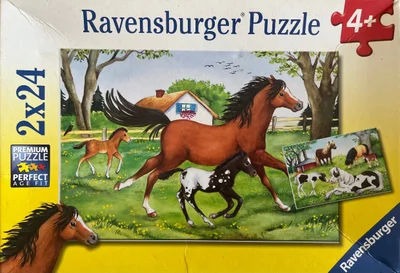 World of Horses