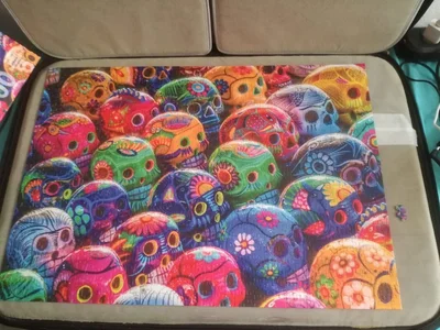 Colorful Skulls