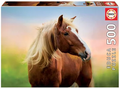 Horse at sunrise