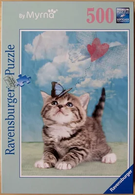 Butterfly Kitten