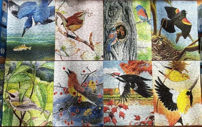 The Cornell Lab of Ornithology Mini Puzzle Collector's Set