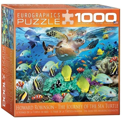 The Journey of the Sea Turtle