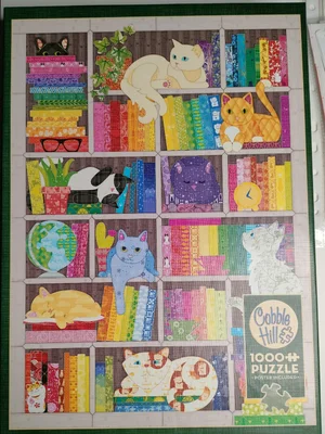 Rainbow cat quilt