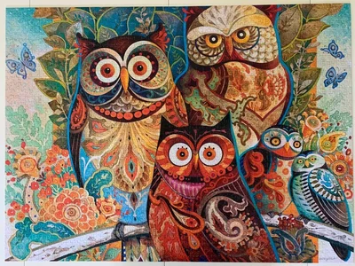 Owls