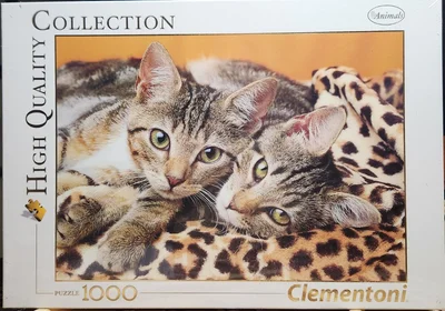 The Eyes of the Cats