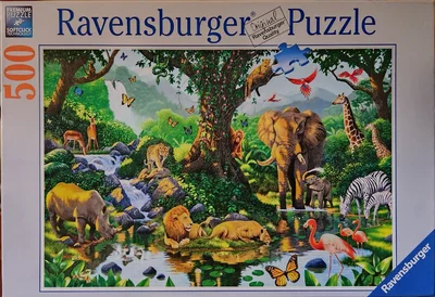 Jungle Harmony