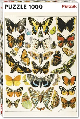 Butterflies