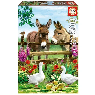 Donkeys