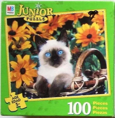 Siamese Kitten