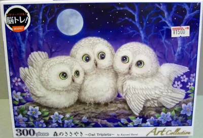 Owl Triplets
