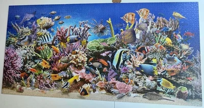Underwater Life