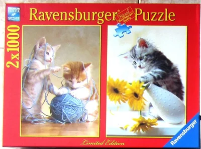 Spielende Kätzchen
