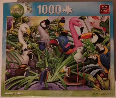 Magic birds