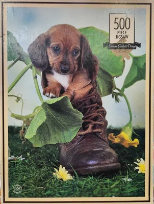 Pup in Boot