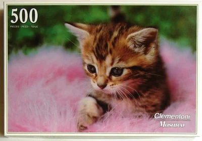 Kitten