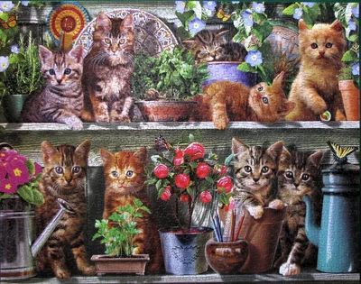 Spring Kittens