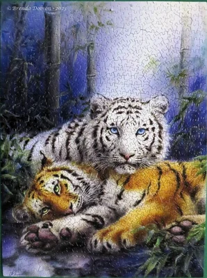 Together Always