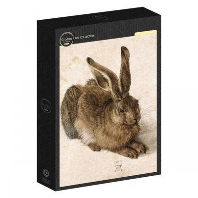 Young Hare