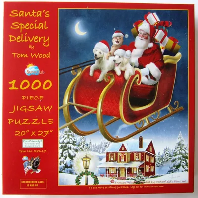 Santa’s Special Delivery