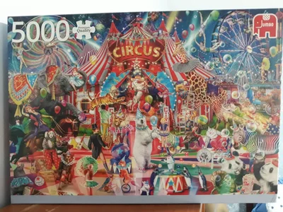A Night at the Circus