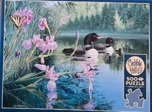 Iris Cove Loons