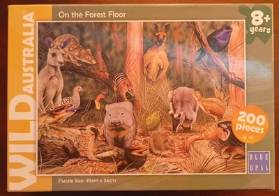 On The Forest Floor