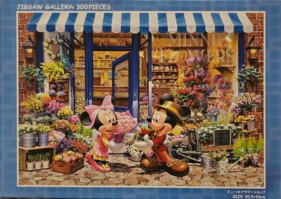 Mickey & Minnie Flowershop