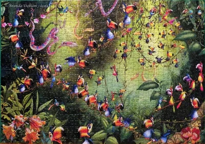Jungle