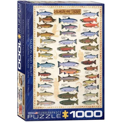 Salmon & Trout