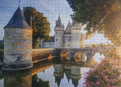 Castle of Sully-sur-Loire