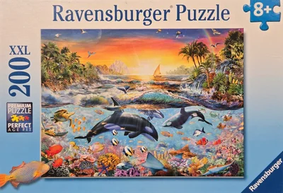 Orca Paradise
