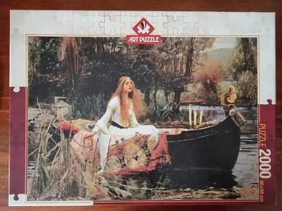 The Lady of Shalott