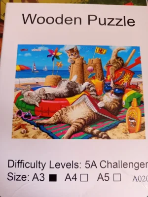 Chatons à la plage