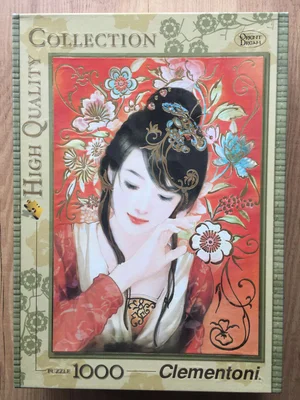 The Beauty of Brocade