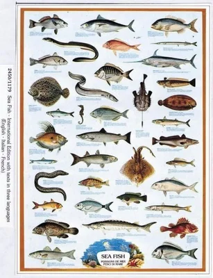 SEA FISH