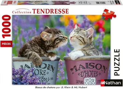 Bisous de chatons