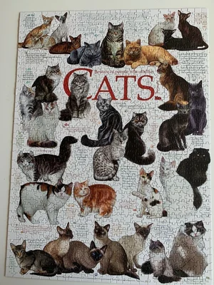 Cat Quotes