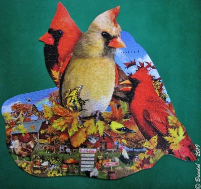 Fall Cardinals