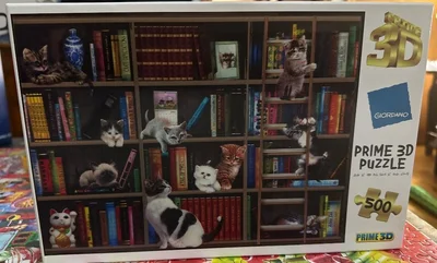Kitty Librarian