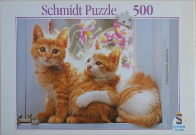 Cats in a Window