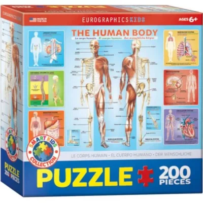 The Human Body