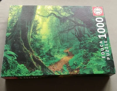 Bosque encantado