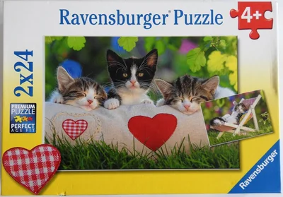 Verschlafene Kätzchen