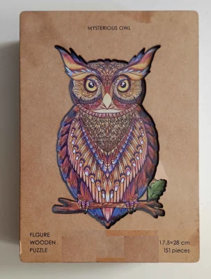Mysterious Owl