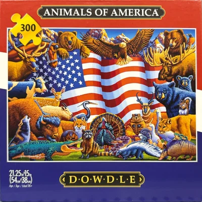 Animals of America