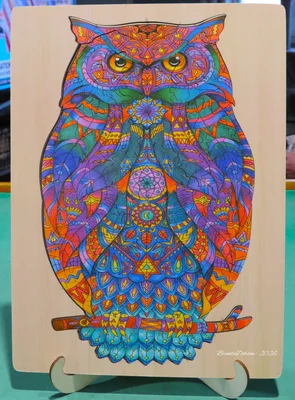 Owl