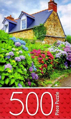 Colorful hydrangea
