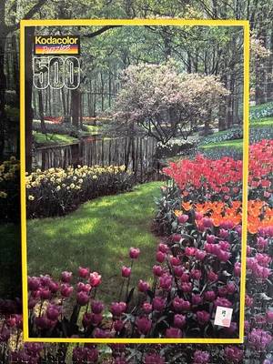 Redrenhof Lisse