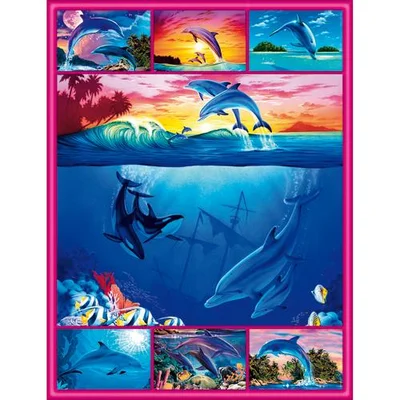Ocean Harmony