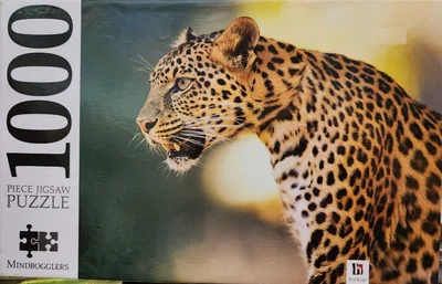 Leopard